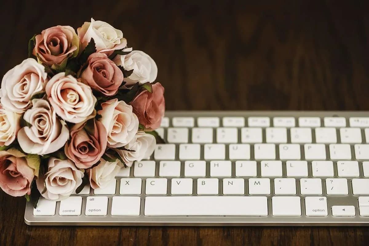 virtual bridal expo
