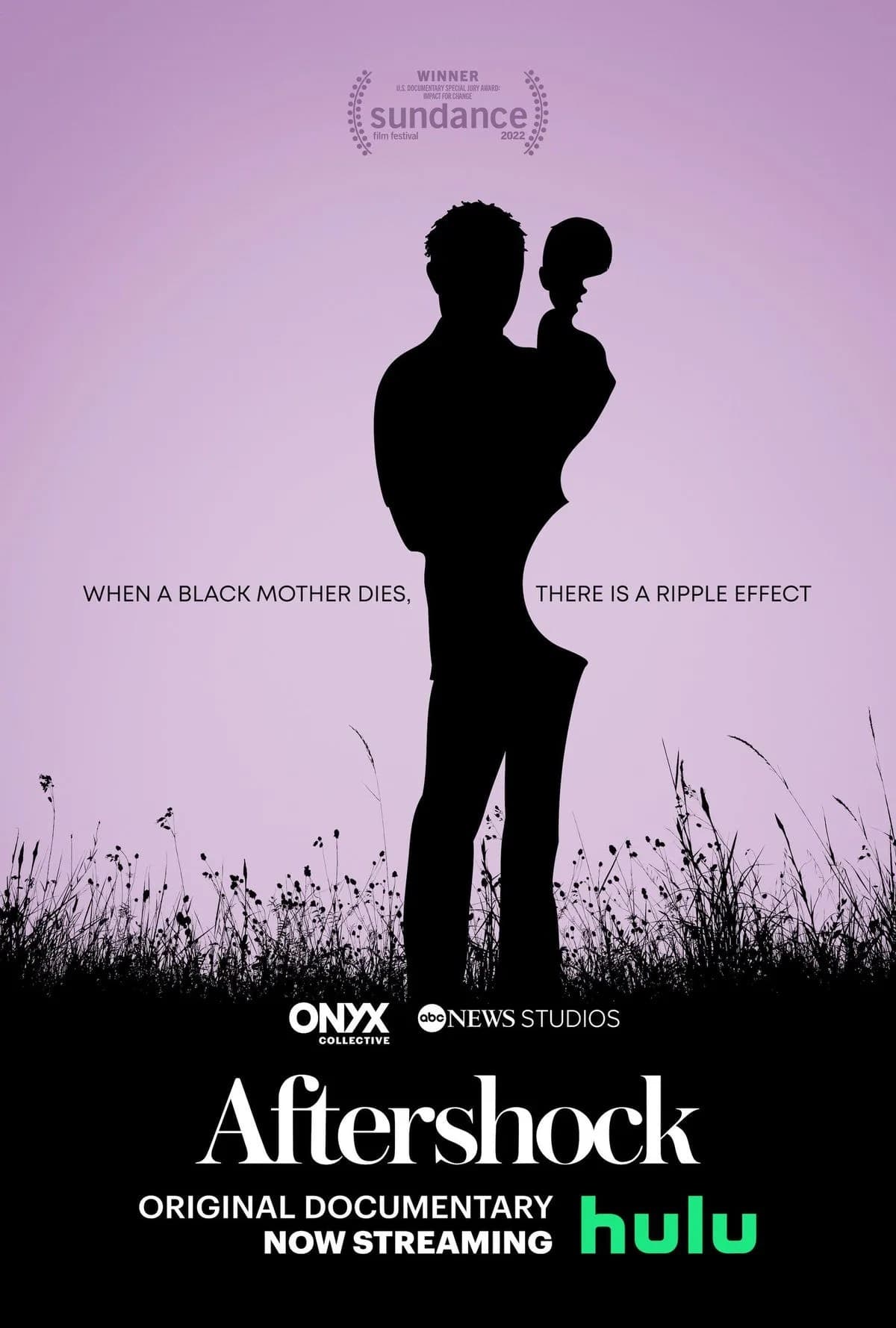 Aftershock, a documentary about black father and maternal health care
