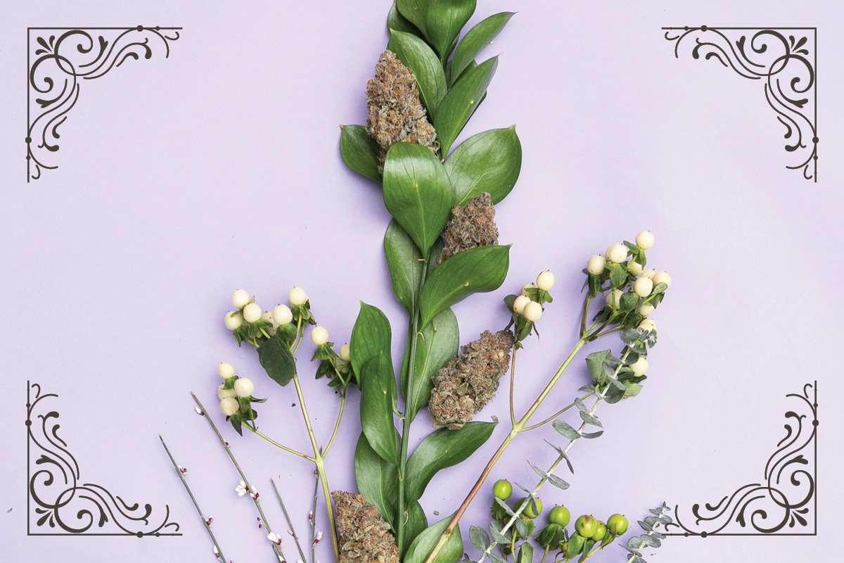 marijuana