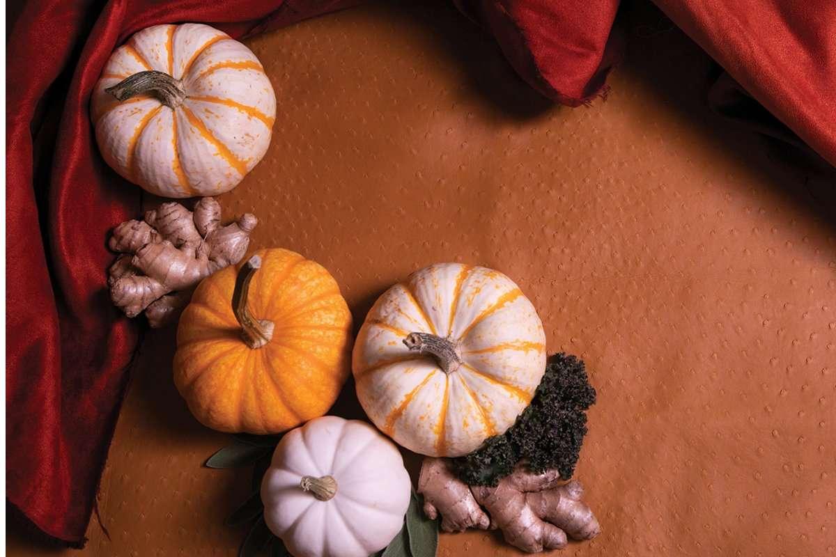 fall recipes