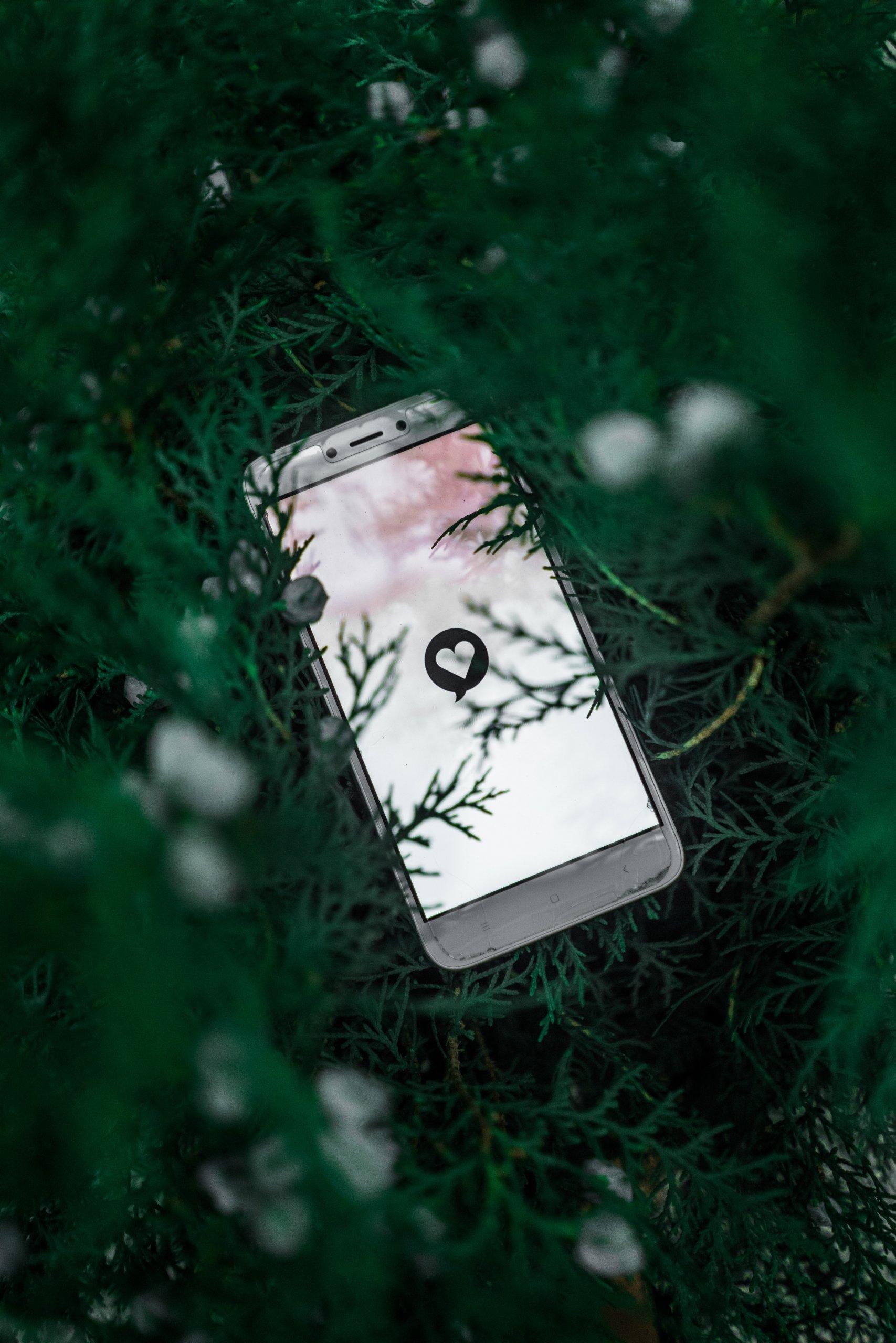 Tips on setting up an online dating app during the Holidays.
