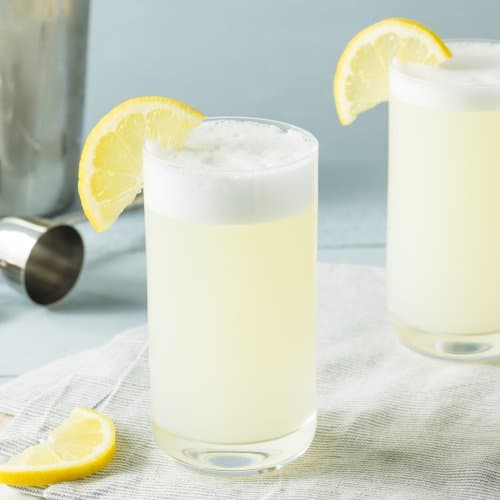 Cold Egg Gin Fizz