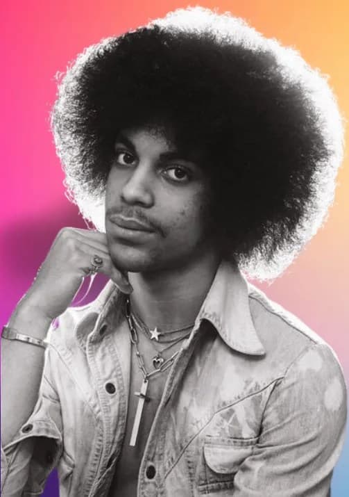 Prince’s $156M Estate is Finally Settled — cover