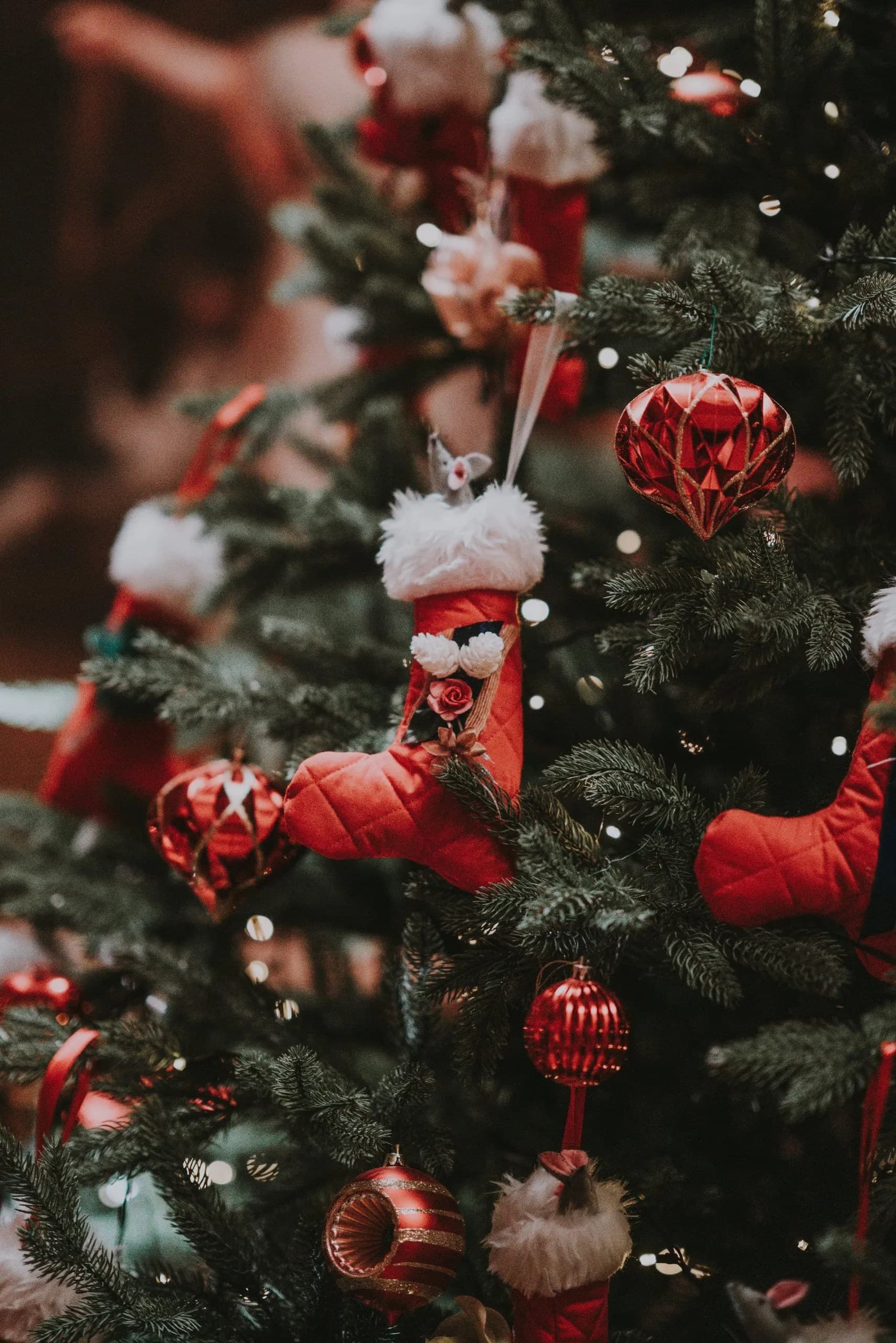 Mysteries Unraveled Behind Our Favorite Holiday Traditions — cover