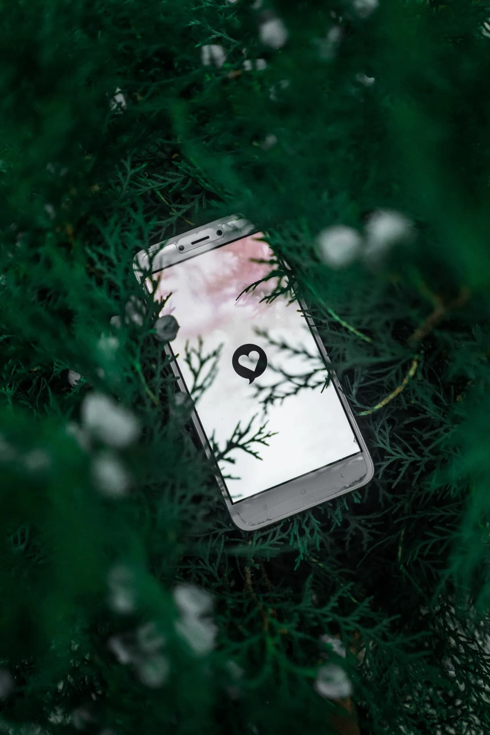 How To Set Up a New Dating App Profile During The Holidays — cover