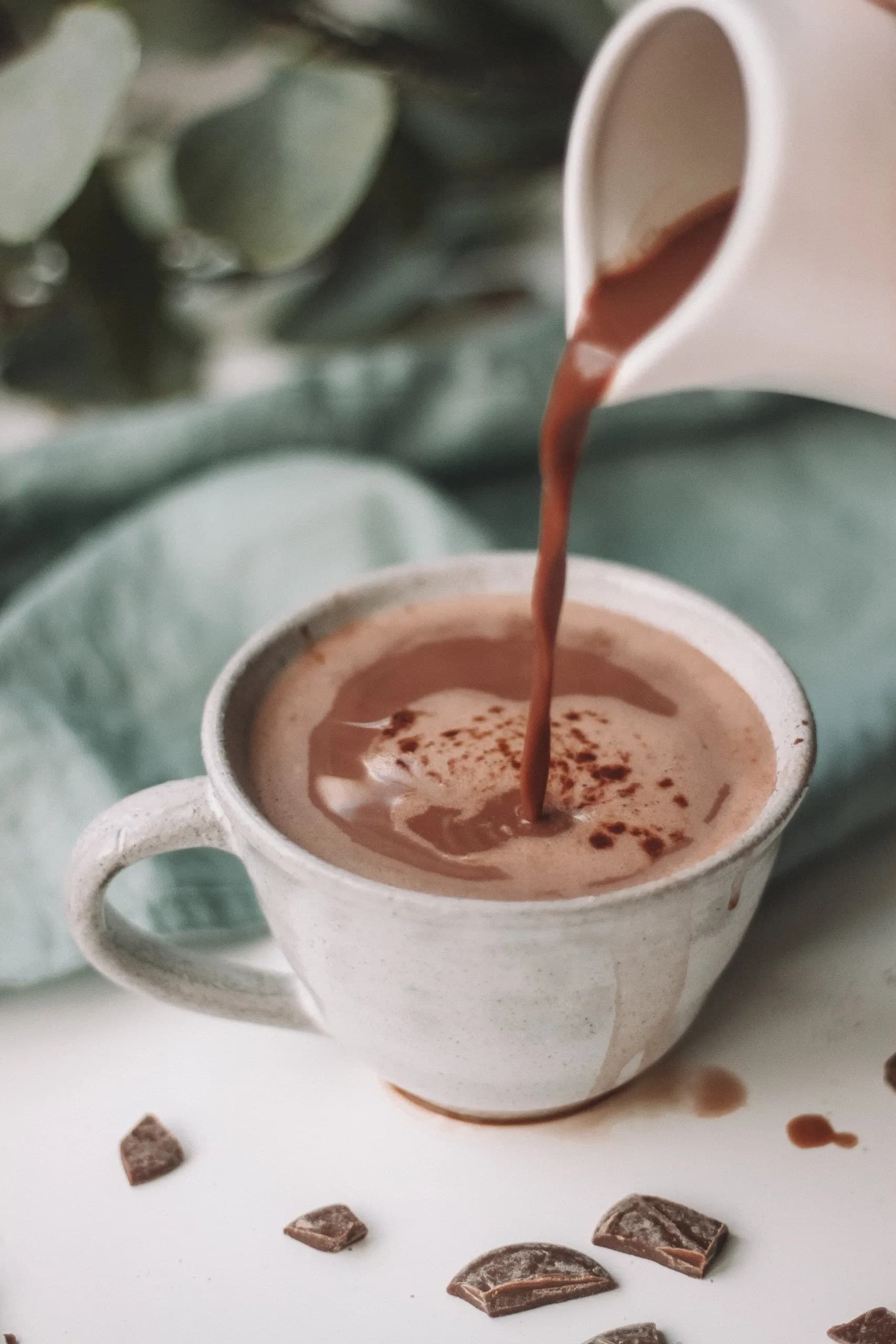 Homemade Hot Chocolate Recipe — cover